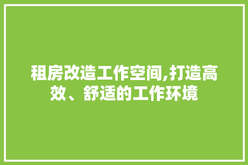 租房改造工作空间,打造高效、舒适的工作环境