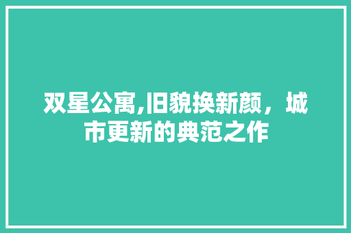 双星公寓,旧貌换新颜，城市更新的典范之作