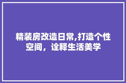 精装房改造日常,打造个性空间，诠释生活美学