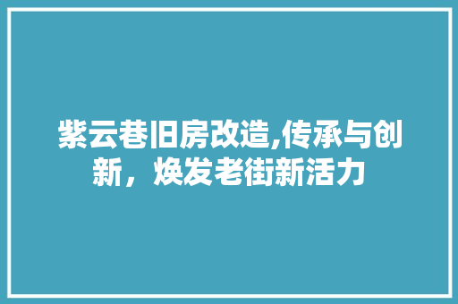 紫云巷旧房改造,传承与创新，焕发老街新活力