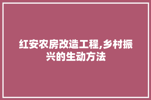红安农房改造工程,乡村振兴的生动方法