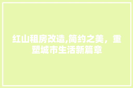 红山租房改造,简约之美，重塑城市生活新篇章
