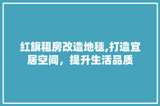 红旗租房改造地毯,打造宜居空间，提升生活品质