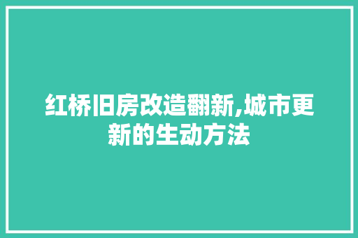 红桥旧房改造翻新,城市更新的生动方法
