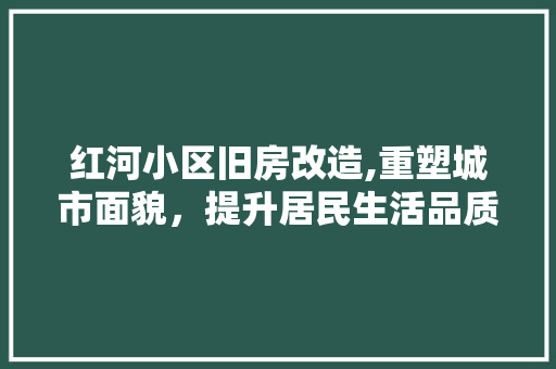 红河小区旧房改造,重塑城市面貌，提升居民生活品质