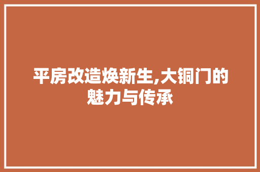 平房改造焕新生,大铜门的魅力与传承