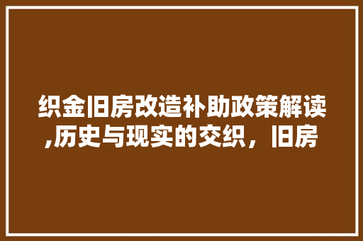 织金旧房改造补助政策解读,历史与现实的交织，旧房焕新生的契机