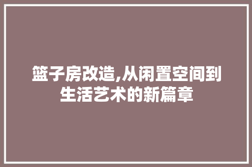 篮子房改造,从闲置空间到生活艺术的新篇章