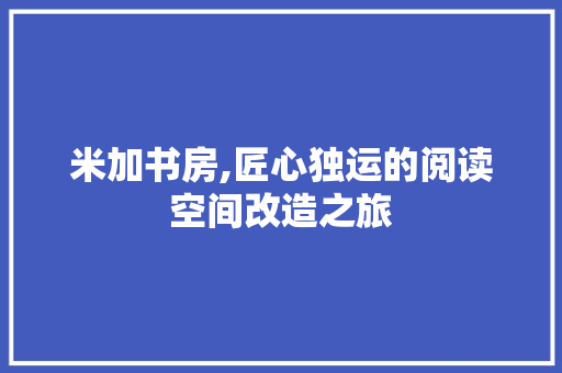 米加书房,匠心独运的阅读空间改造之旅