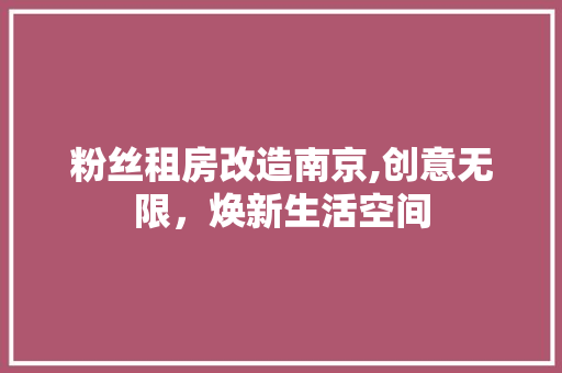 粉丝租房改造南京,创意无限，焕新生活空间
