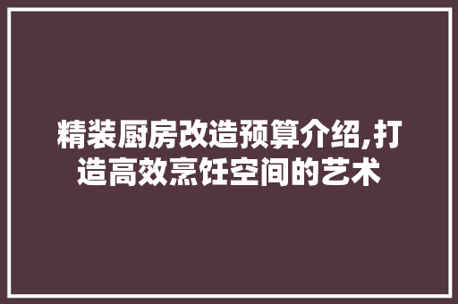 精装厨房改造预算介绍,打造高效烹饪空间的艺术