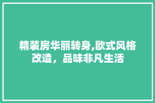 精装房华丽转身,欧式风格改造，品味非凡生活