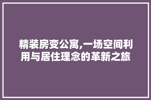 精装房变公寓,一场空间利用与居住理念的革新之旅