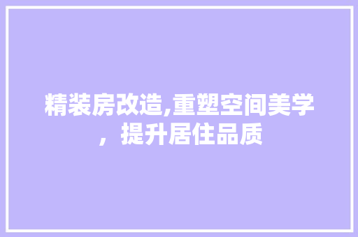 精装房改造,重塑空间美学，提升居住品质