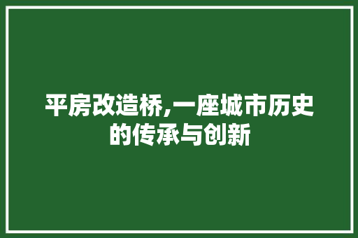 平房改造桥,一座城市历史的传承与创新