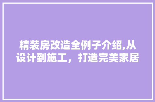 精装房改造全例子介绍,从设计到施工，打造完美家居空间