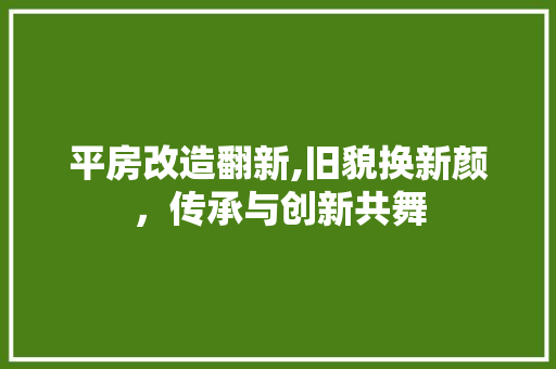 平房改造翻新,旧貌换新颜，传承与创新共舞