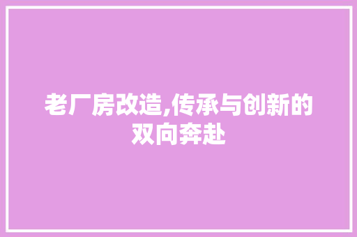 老厂房改造,传承与创新的双向奔赴