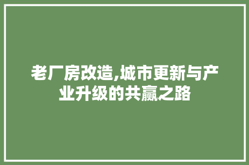 老厂房改造,城市更新与产业升级的共赢之路