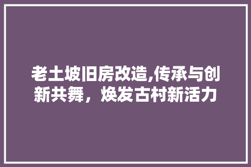 老土坡旧房改造,传承与创新共舞，焕发古村新活力
