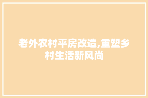 老外农村平房改造,重塑乡村生活新风尚
