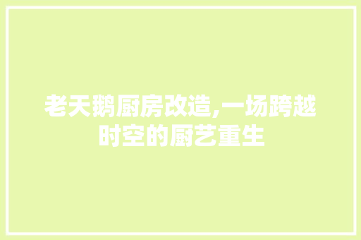 老天鹅厨房改造,一场跨越时空的厨艺重生