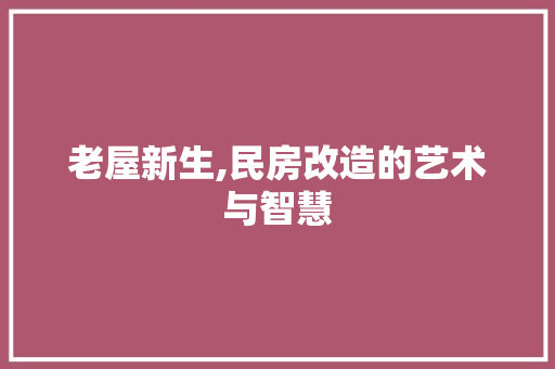 老屋新生,民房改造的艺术与智慧