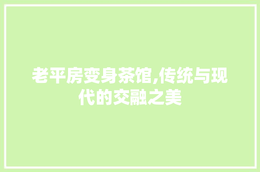 老平房变身茶馆,传统与现代的交融之美