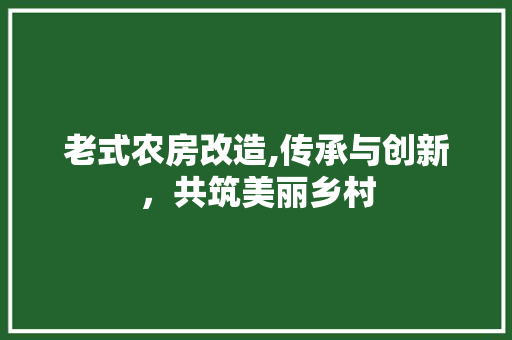老式农房改造,传承与创新，共筑美丽乡村