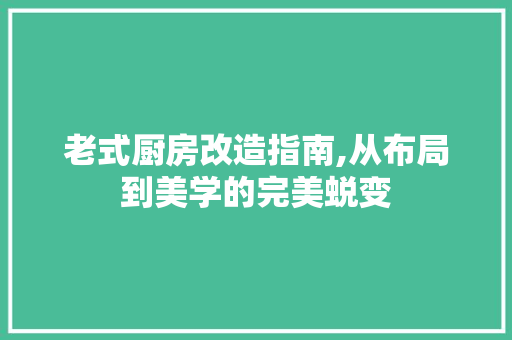 老式厨房改造指南,从布局到美学的完美蜕变