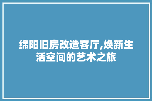 绵阳旧房改造客厅,焕新生活空间的艺术之旅