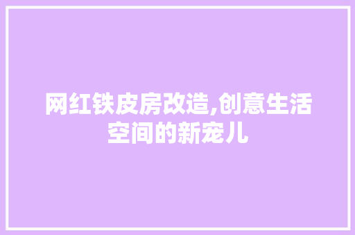 网红铁皮房改造,创意生活空间的新宠儿