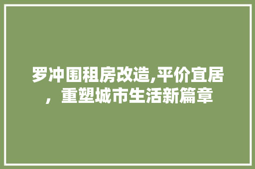 罗冲围租房改造,平价宜居，重塑城市生活新篇章
