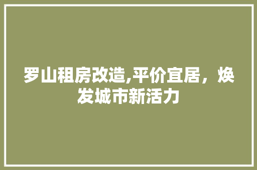 罗山租房改造,平价宜居，焕发城市新活力