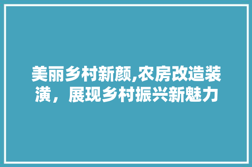 美丽乡村新颜,农房改造装潢，展现乡村振兴新魅力