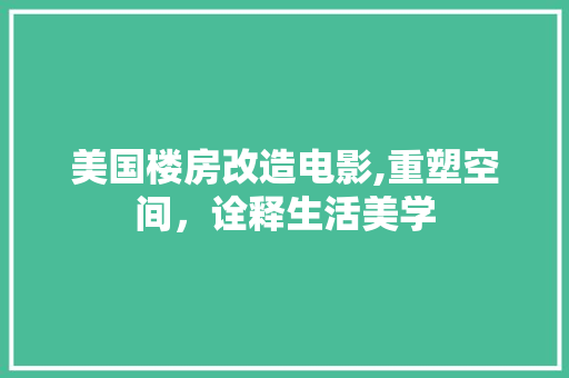 美国楼房改造电影,重塑空间，诠释生活美学